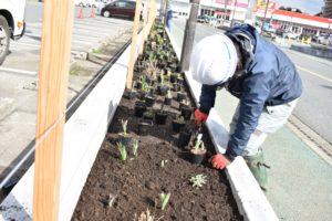 苗を植えていく工事部スタッフ