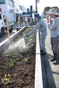 植栽にたっぷりと水やりをするスタッフ