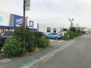 3年前の花壇　施工前