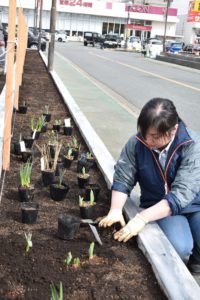 1年目　苗植え