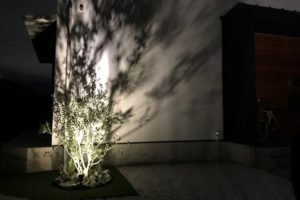 庭木をライティング