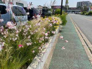 サンロードシティ 熊本　花壇